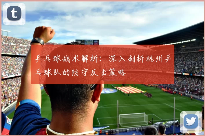 乒乓球战术解析：深入剖析杭州乒乓球队的防守反击策略