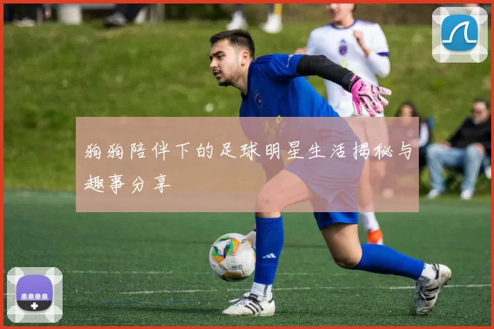 狗狗陪伴下的足球明星生活揭秘与趣事分享