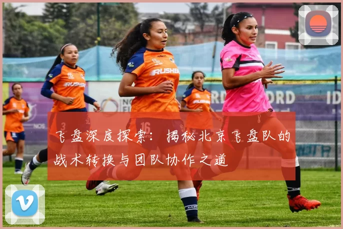 飞盘深度探索：揭秘北京飞盘队的战术转换与团队协作之道