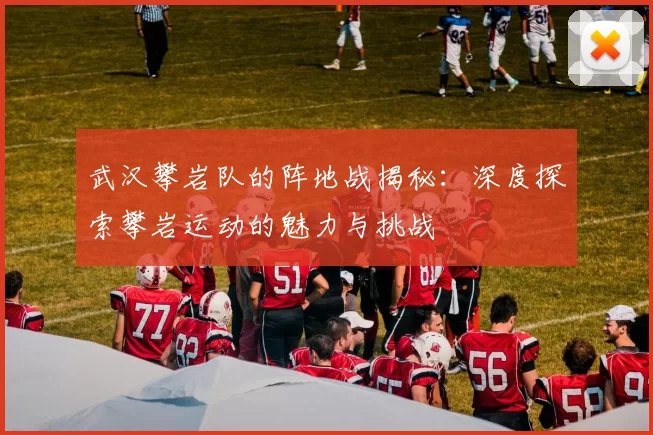 武汉攀岩队的阵地战揭秘：深度探索攀岩运动的魅力与挑战