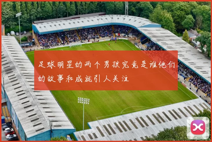 足球明星的两个男孩究竟是谁他们的故事和成就引人关注