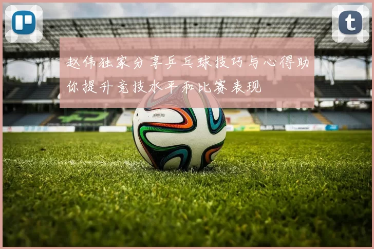 赵伟独家分享乒乓球技巧与心得助你提升竞技水平和比赛表现