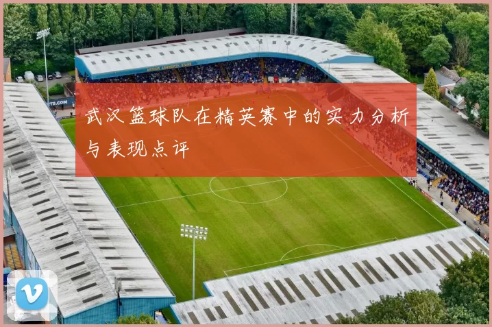 武汉篮球队在精英赛中的实力分析与表现点评