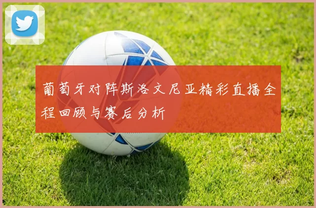 葡萄牙对阵斯洛文尼亚精彩直播全程回顾与赛后分析