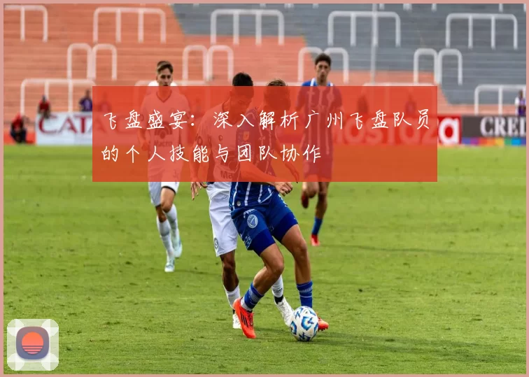 飞盘盛宴：深入解析广州飞盘队员的个人技能与团队协作