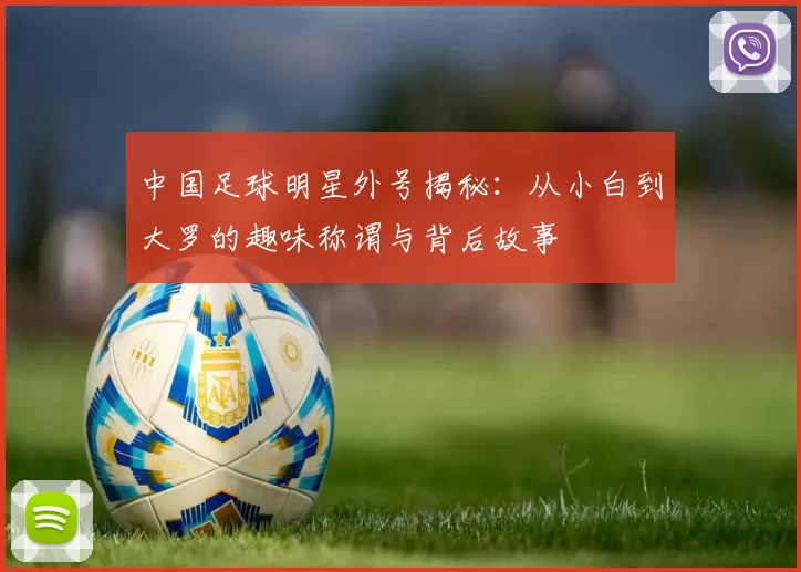 中国足球明星外号揭秘：从小白到大罗的趣味称谓与背后故事