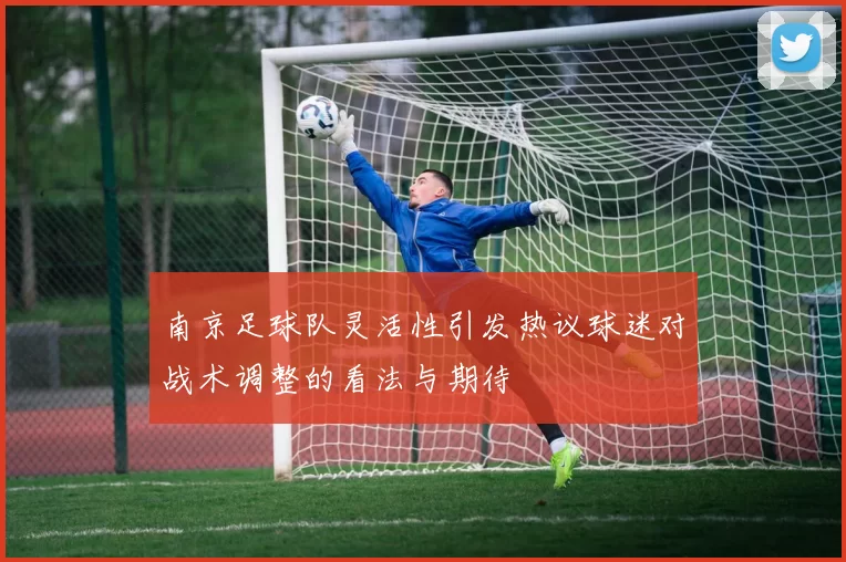 南京足球队灵活性引发热议球迷对战术调整的看法与期待