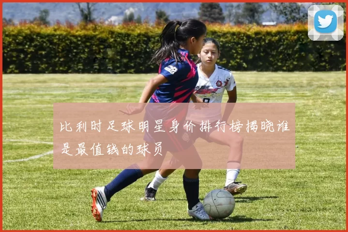 比利时足球明星身价排行榜揭晓谁是最值钱的球员