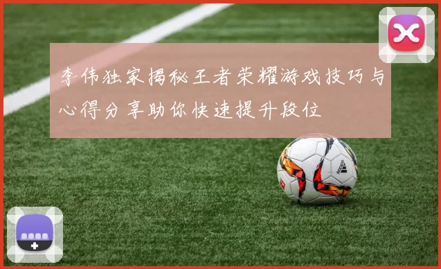 李伟独家揭秘王者荣耀游戏技巧与心得分享助你快速提升段位