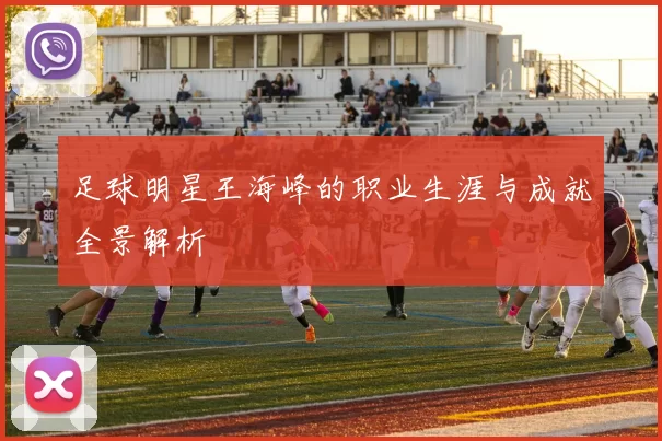 足球明星王海峰的职业生涯与成就全景解析