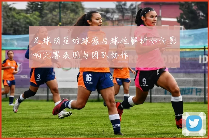 足球明星的球感与球性解析如何影响比赛表现与团队协作