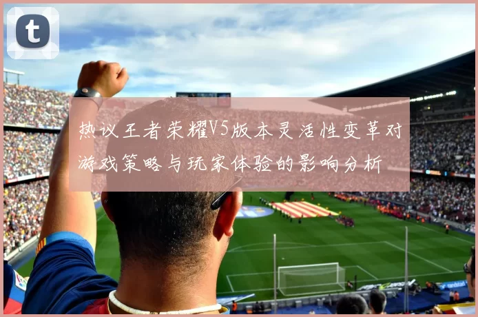 热议王者荣耀V5版本灵活性变革对游戏策略与玩家体验的影响分析