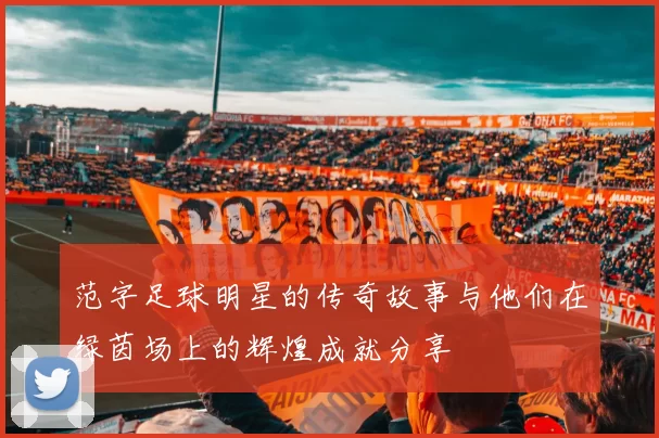 范字足球明星的传奇故事与他们在绿茵场上的辉煌成就分享