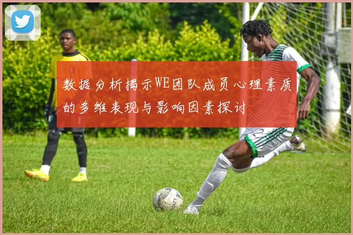 数据分析揭示WE团队成员心理素质的多维表现与影响因素探讨