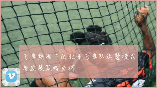 飞盘热潮下的北京飞盘队运营模式与发展策略分析