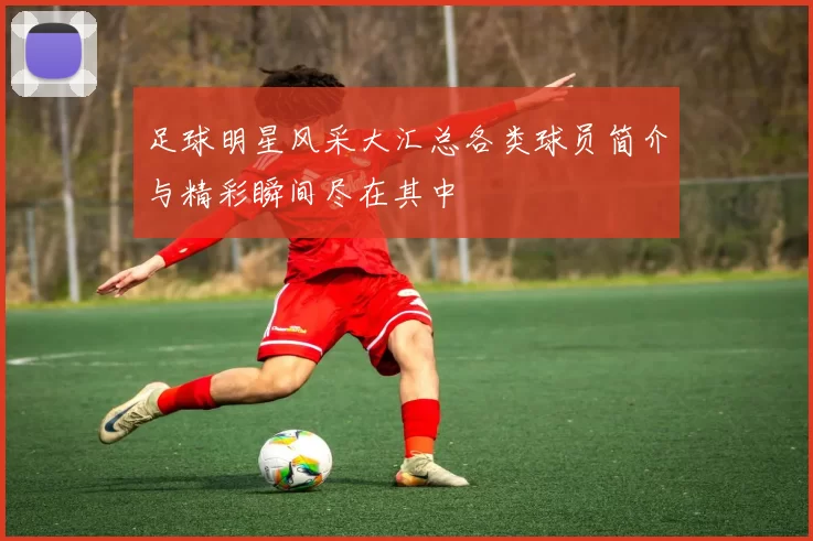 足球明星风采大汇总各类球员简介与精彩瞬间尽在其中